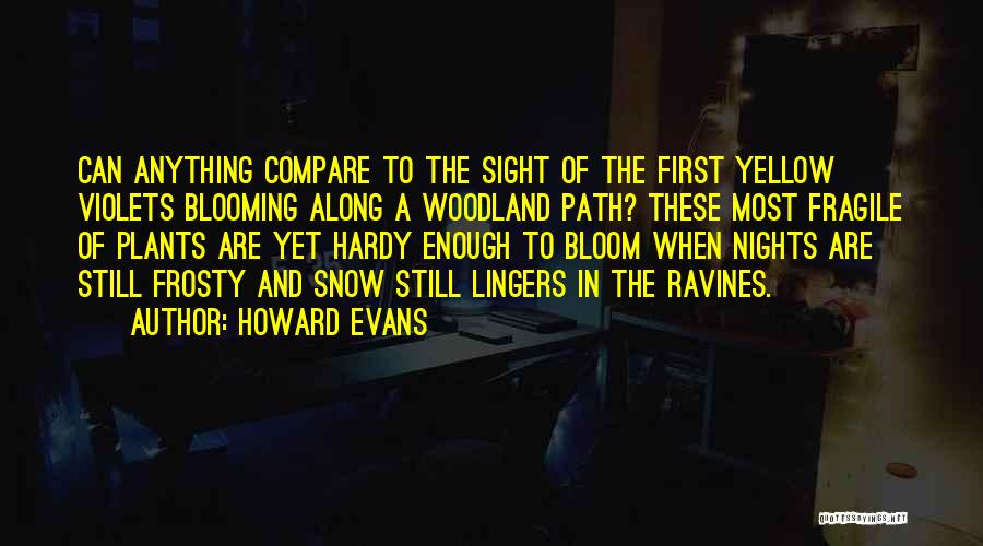 Yellow Night Quotes By Howard Evans