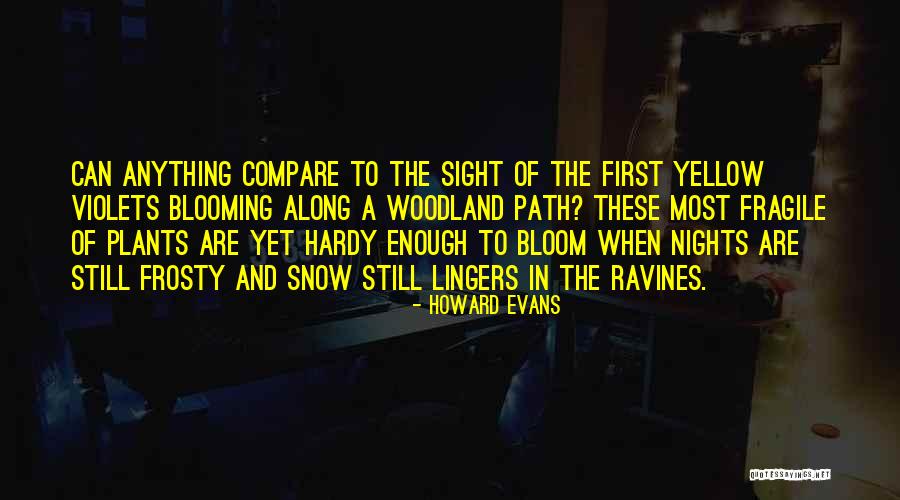 Yellow Night Quotes By Howard Evans Yellow Night Quotes By Howard Evans