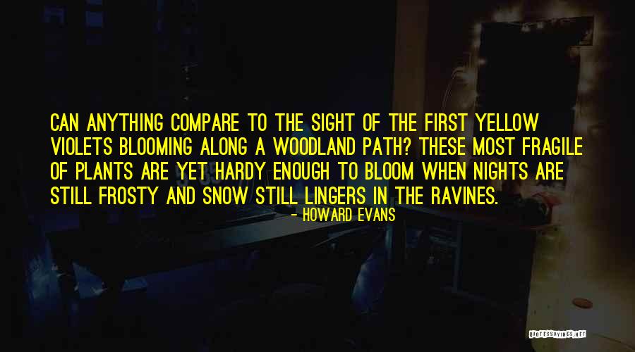 Yellow Night Quotes By Howard Evans