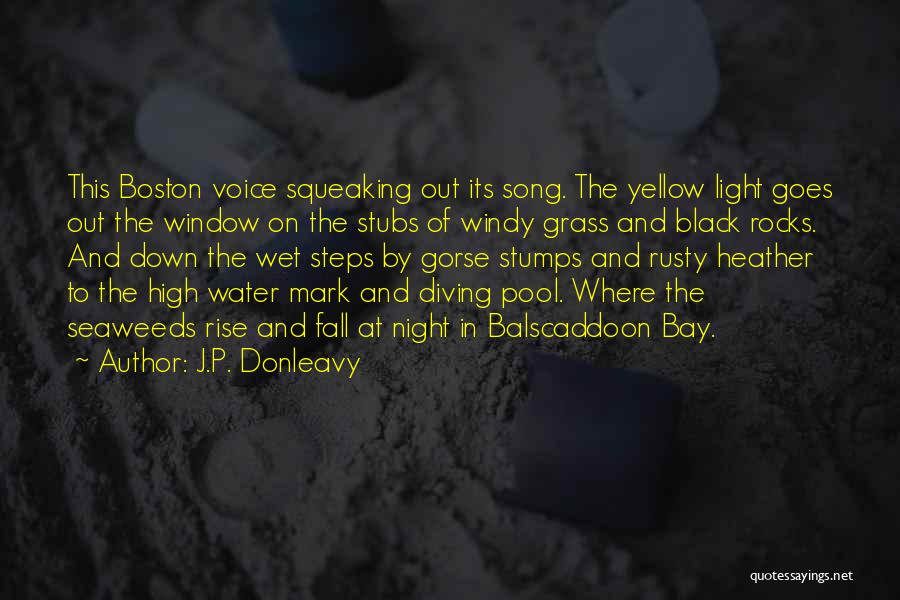 Yellow Night Quotes By J.P. Donleavy