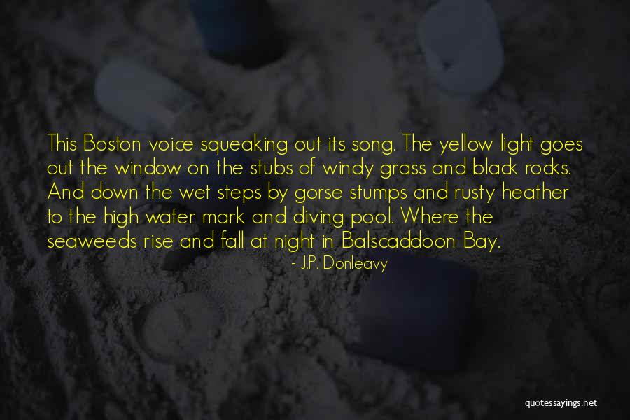 Yellow Night Quotes By J.P. Donleavy Yellow Night Quotes By J.P. Donleavy