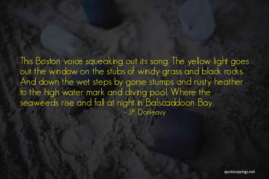 Yellow Night Quotes By J.P. Donleavy