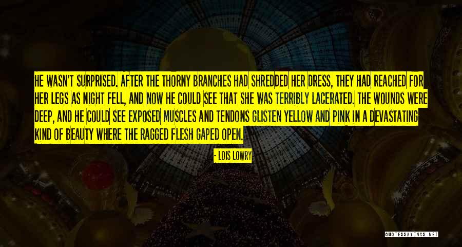 Yellow Night Quotes By Lois Lowry