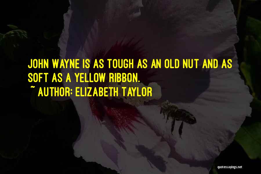 Yellow Ribbon Quotes By Elizabeth Taylor