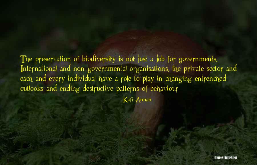 Yellow Skirt Quotes By Kofi Annan