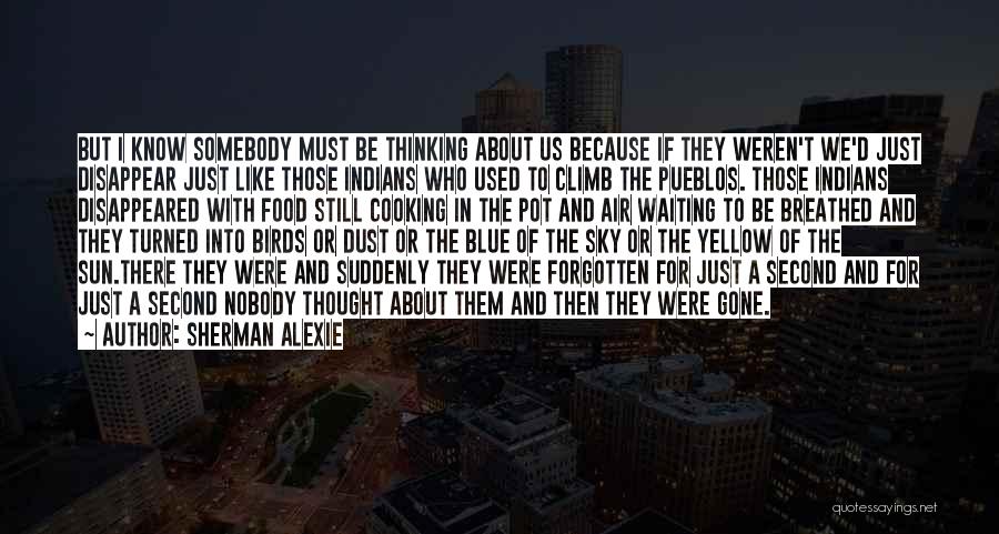 Yellow Sky Quotes By Sherman Alexie