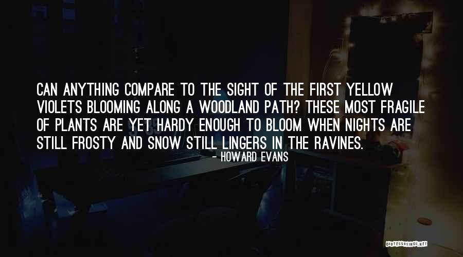 Yellow Snow Quotes By Howard Evans Yellow Snow Quotes By Howard Evans