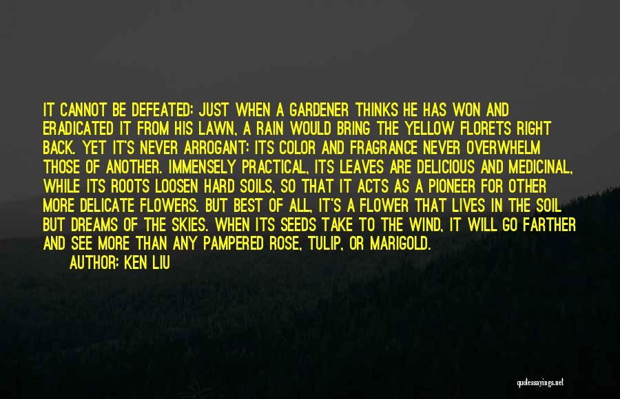 Yellow Tulip Quotes By Ken Liu