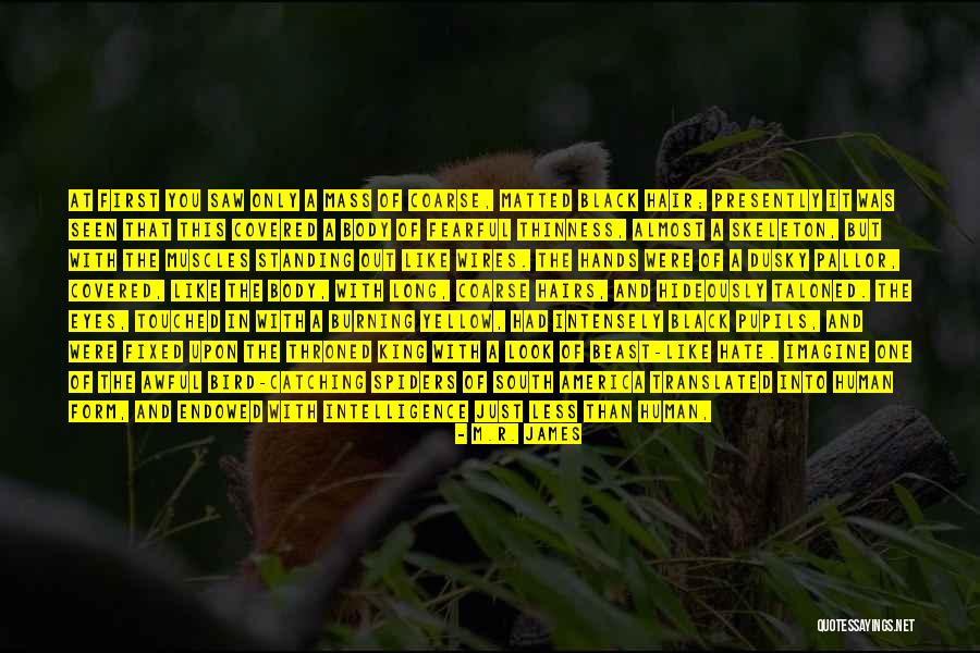 Yellow Yellow Quotes By M.R. James Yellow Yellow Quotes By M.R. James
