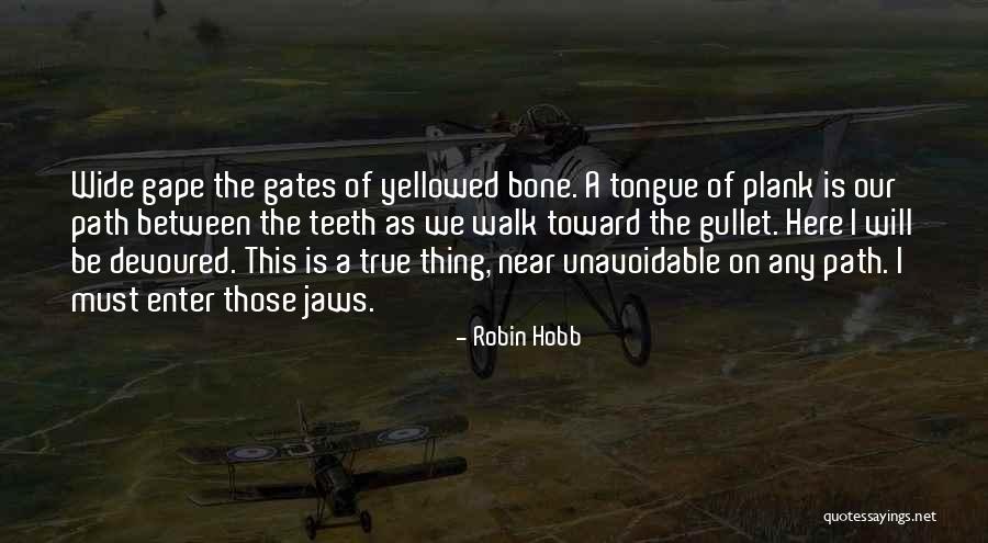 Yellowed Teeth Quotes By Robin Hobb Yellowed Teeth Quotes By Robin Hobb