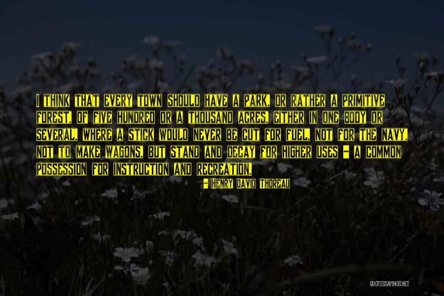 Yellowhammers Civil War Quotes By Henry David Thoreau Yellowhammers Civil War Quotes By Henry David Thoreau