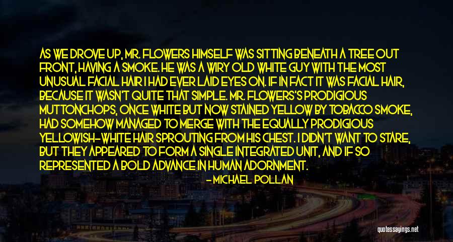 Yellowish Quotes By Michael Pollan Yellowish Quotes By Michael Pollan
