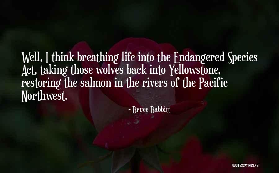 Yellowstone Quotes By Bruce Babbitt Yellowstone Quotes By Bruce Babbitt