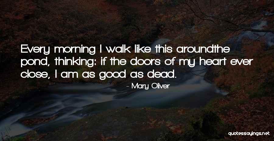 Yellowtail Quotes By Mary Oliver Yellowtail Quotes By Mary Oliver