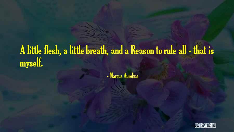 Yerlesim Quotes By Marcus Aurelius Yerlesim Quotes By Marcus Aurelius