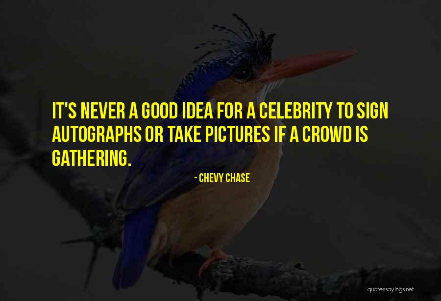 Yerno En Quotes By Chevy Chase Yerno En Quotes By Chevy Chase