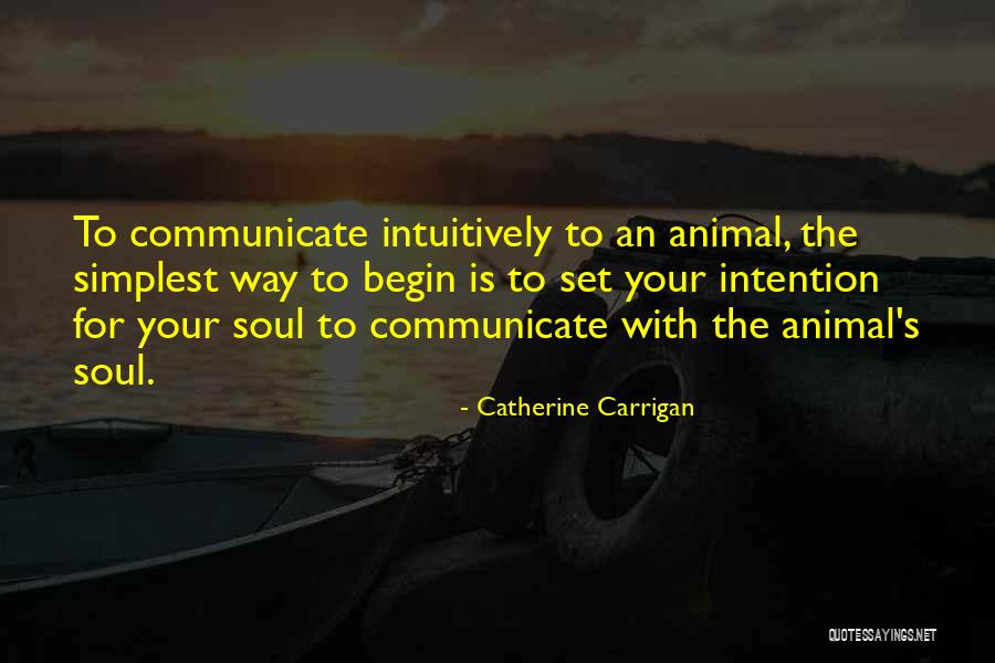 Yerovi Bloomfield Quotes By Catherine Carrigan Yerovi Bloomfield Quotes By Catherine Carrigan