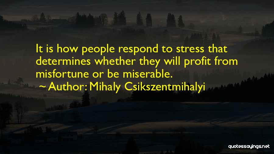 Yerushalmi Sect Quotes By Mihaly Csikszentmihalyi