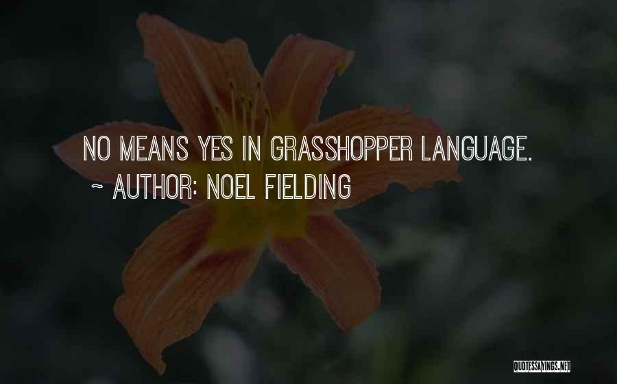 Yes Means Yes Quotes By Noel Fielding