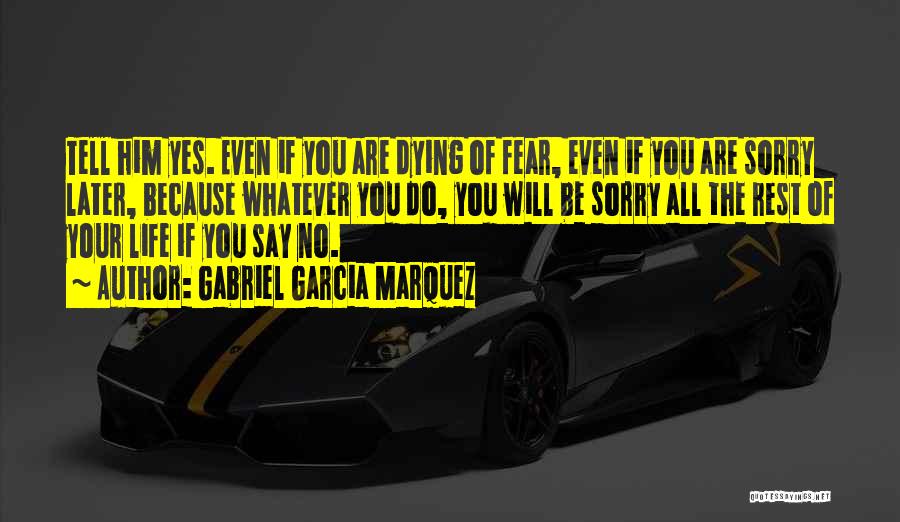 Yes No Quotes By Gabriel Garcia Marquez Yes No Quotes By Gabriel Garcia Marquez
