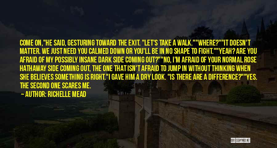 Yes No Quotes By Richelle Mead Yes No Quotes By Richelle Mead