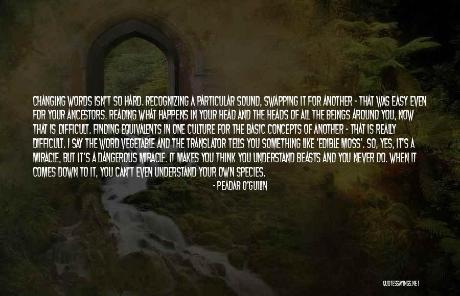 Yes O Quotes By Peadar O'Guilin Yes O Quotes By Peadar O'Guilin