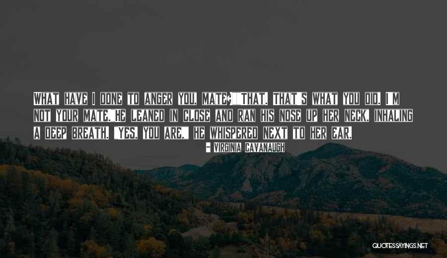 Yes Virginia Quotes By Virginia Cavanaugh Yes Virginia Quotes By Virginia Cavanaugh