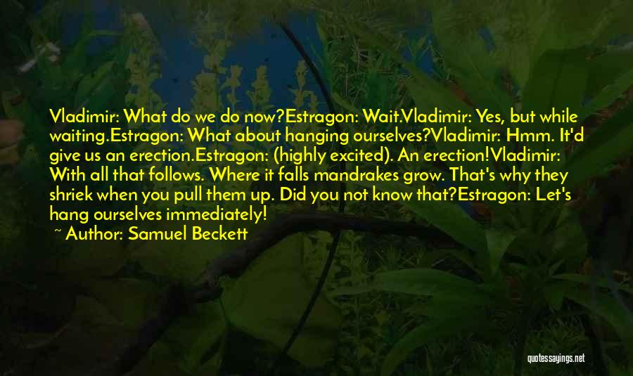 Yes We Did It Quotes By Samuel Beckett