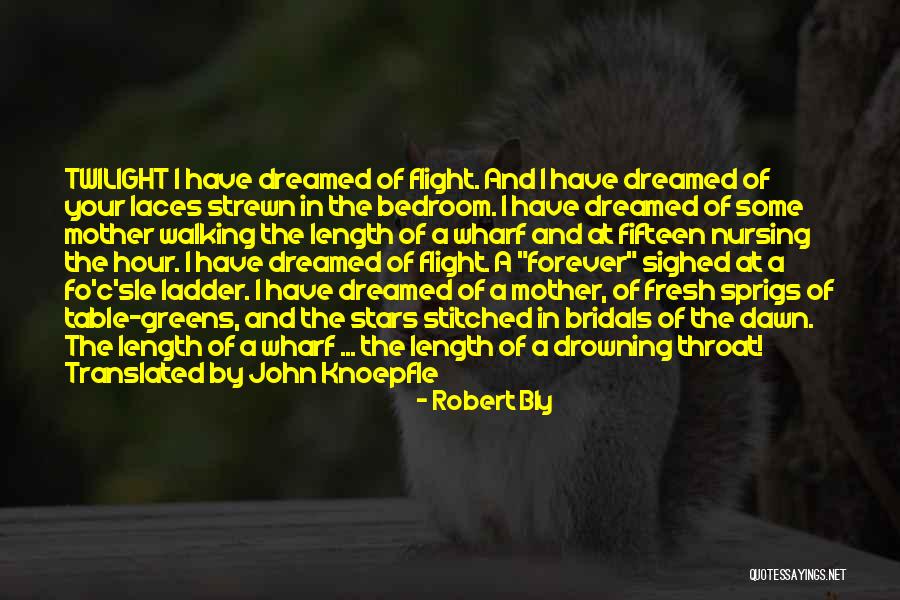 Yesid Reyes Quotes By Robert Bly Yesid Reyes Quotes By Robert Bly
