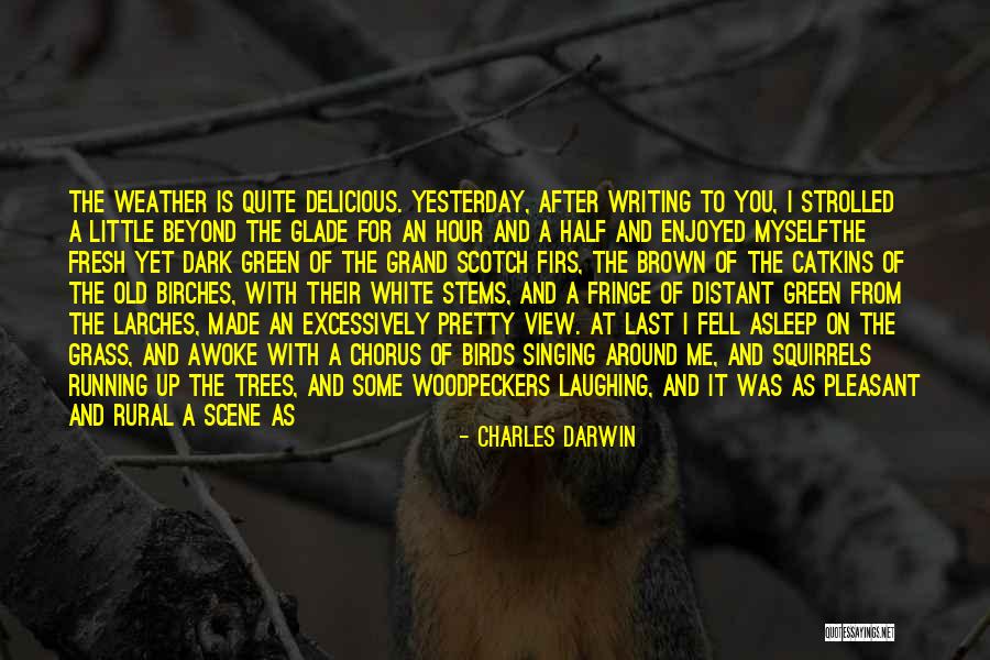 Yesterday I Saw You Quotes By Charles Darwin Yesterday I Saw You Quotes By Charles Darwin