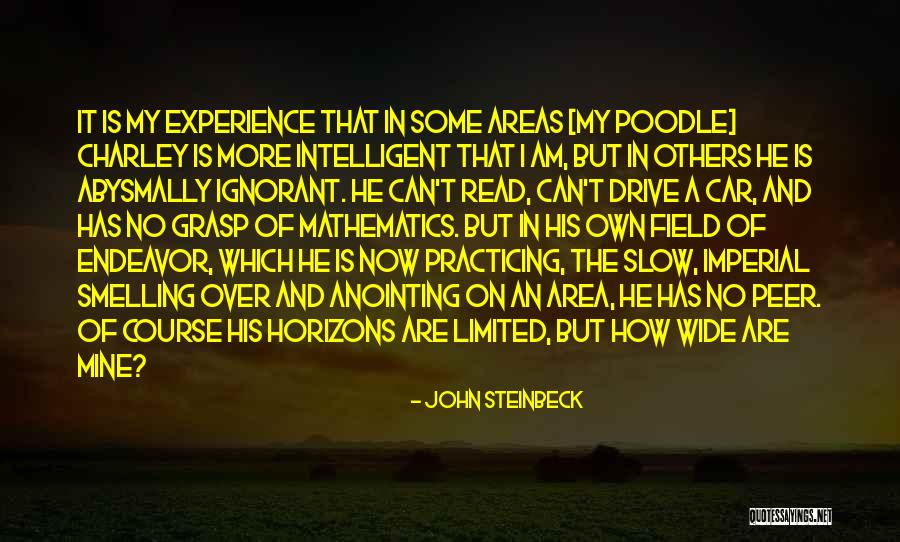 Yesterday In French Quotes By John Steinbeck Yesterday In French Quotes By John Steinbeck