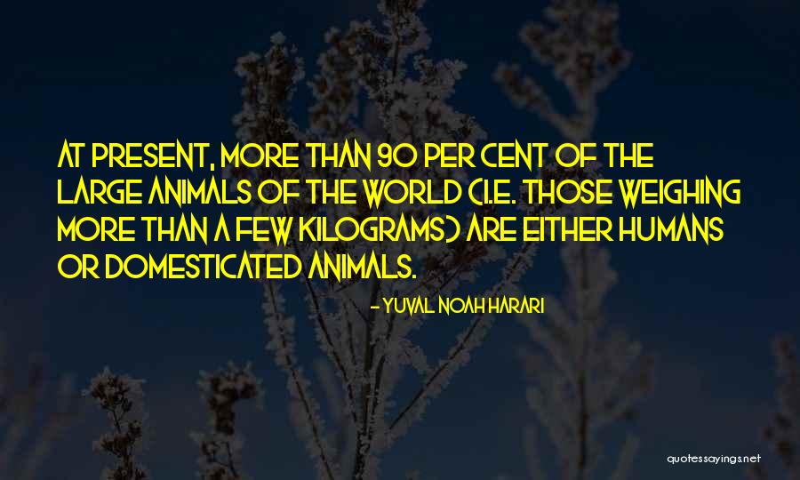 Yesudas Quotes By Yuval Noah Harari Yesudas Quotes By Yuval Noah Harari