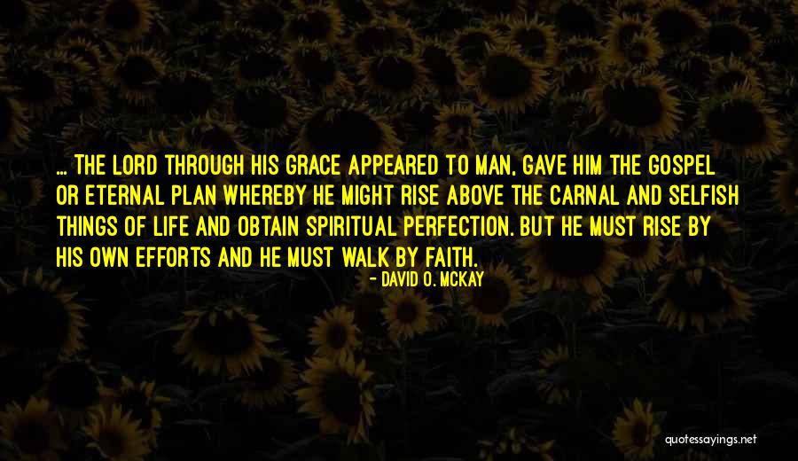 Yet Still I Rise Quotes By David O. McKay Yet Still I Rise Quotes By David O. McKay