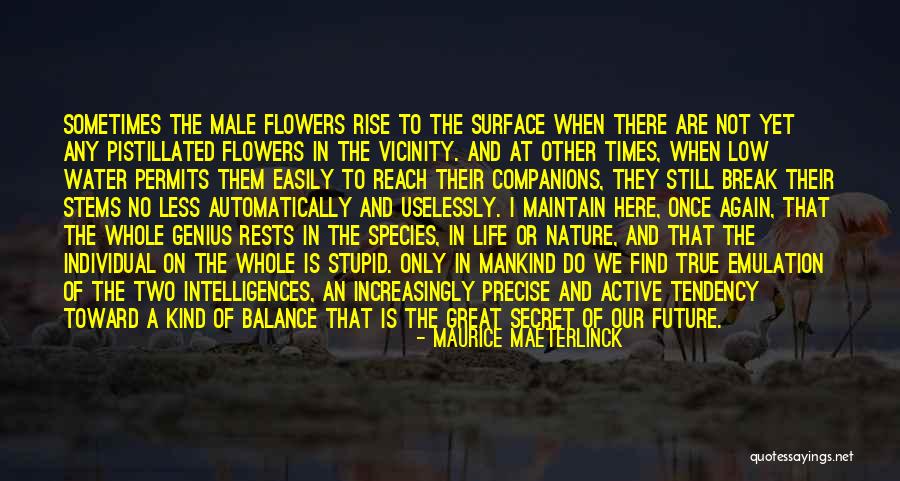 Yet Still I Rise Quotes By Maurice Maeterlinck Yet Still I Rise Quotes By Maurice Maeterlinck