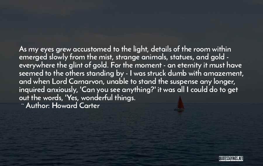 Yeterlilik Quotes By Howard Carter