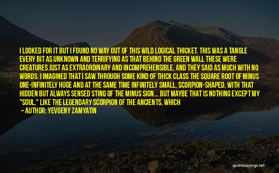 Yevgeny Zamyatin Quotes 1901959