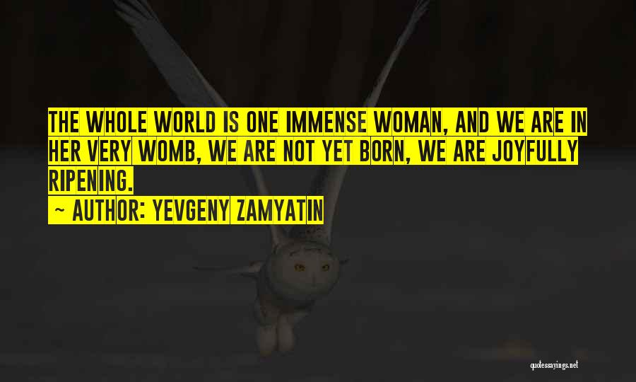 Yevgeny Zamyatin Quotes 2155163