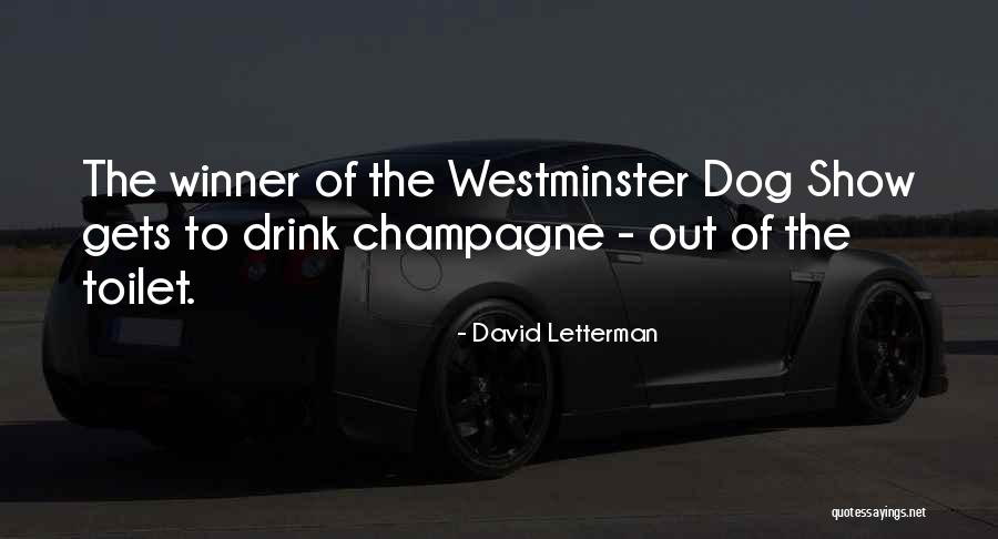 Yevgenya Paturyan Quotes By David Letterman Yevgenya Paturyan Quotes By David Letterman