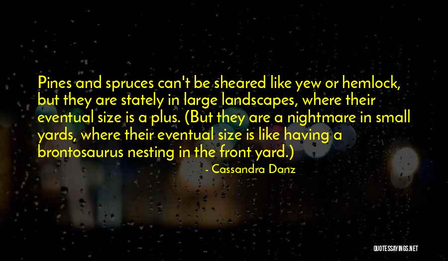 Yew Tree Quotes By Cassandra Danz Yew Tree Quotes By Cassandra Danz