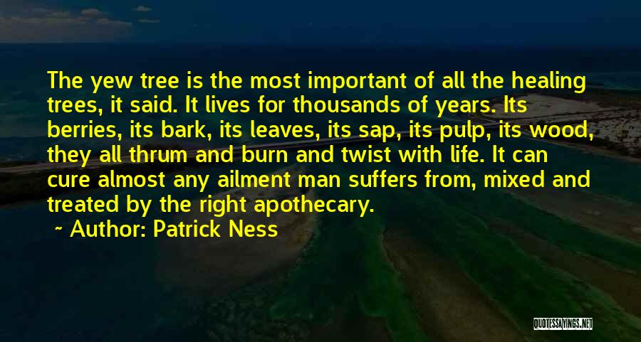 Yew Tree Quotes By Patrick Ness