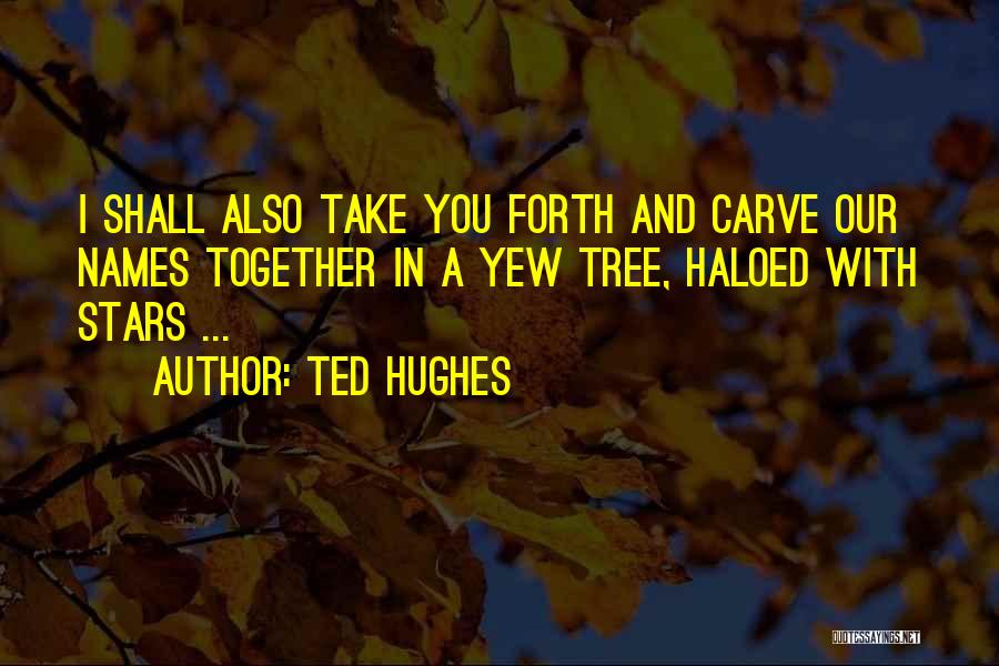 Yew Tree Quotes By Ted Hughes