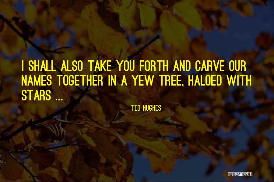 Yew Tree Quotes By Ted Hughes