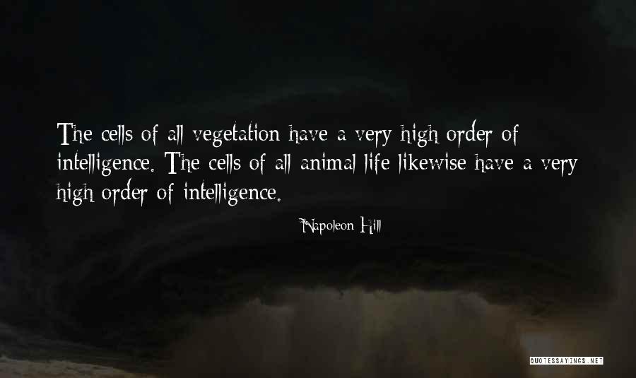 Yg Lyrics Quotes By Napoleon Hill Yg Lyrics Quotes By Napoleon Hill