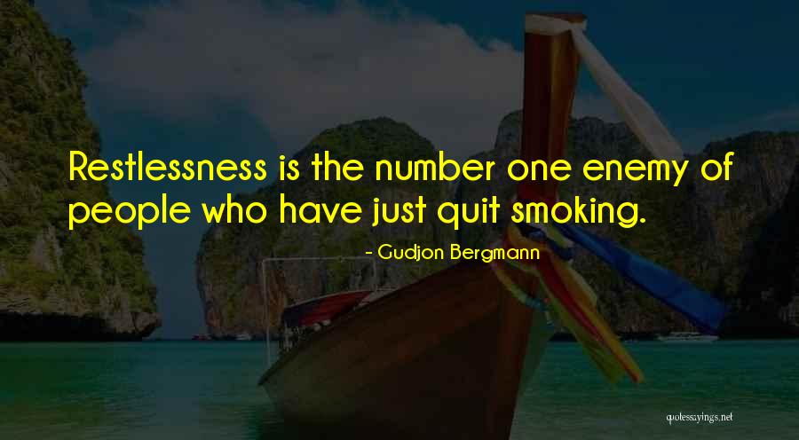 Yilmaz Reduktor Quotes By Gudjon Bergmann Yilmaz Reduktor Quotes By Gudjon Bergmann