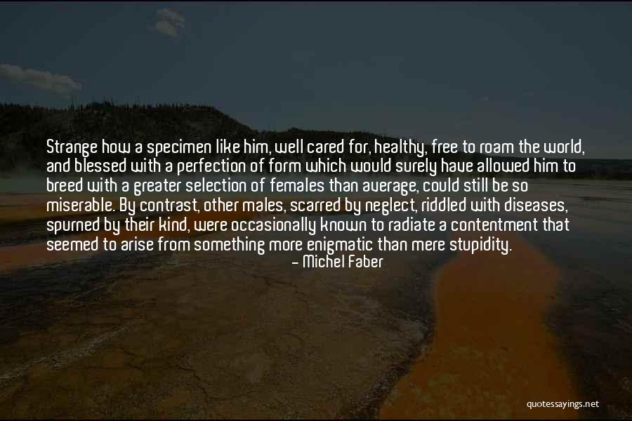 Yimyam Hampa Quotes By Michel Faber