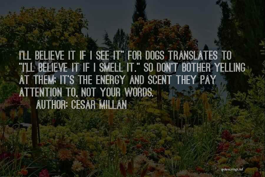 Yin Yang Quotes By Cesar Millan