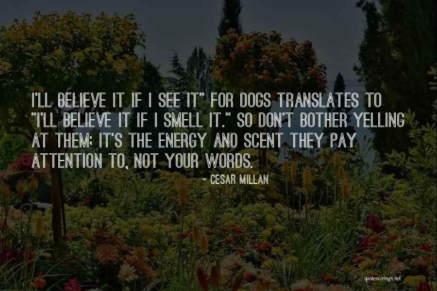 Yin Yang Quotes By Cesar Millan