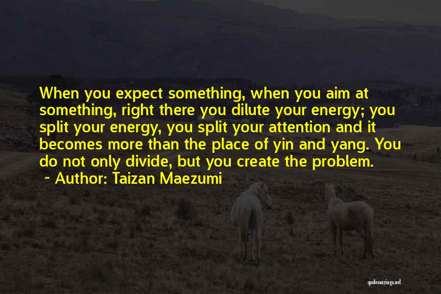 Yin Yang Quotes By Taizan Maezumi