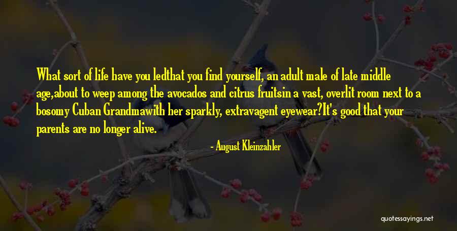 Yiriba Foundation Quotes By August Kleinzahler Yiriba Foundation Quotes By August Kleinzahler
