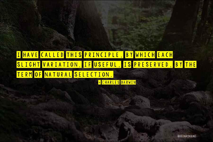 Yitzchak Devils Arithmetic Quotes By Charles Darwin Yitzchak Devils Arithmetic Quotes By Charles Darwin